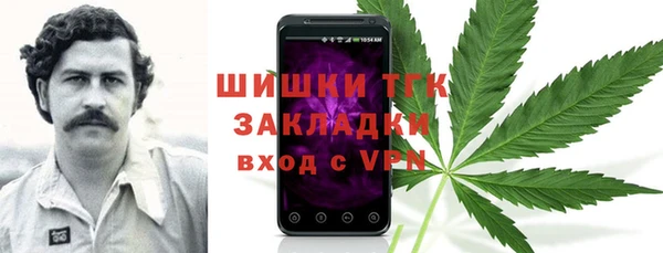мет Бородино