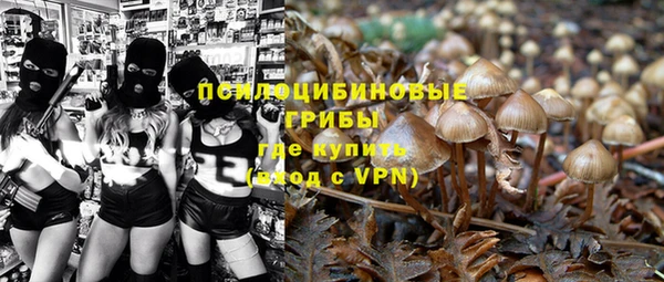 дмт Бронницы
