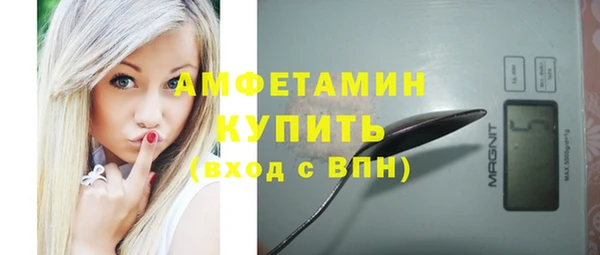 мет Бородино