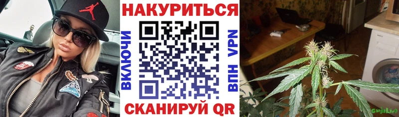 Бошки марихуана семена  блэк спрут ТОР  Горнозаводск 